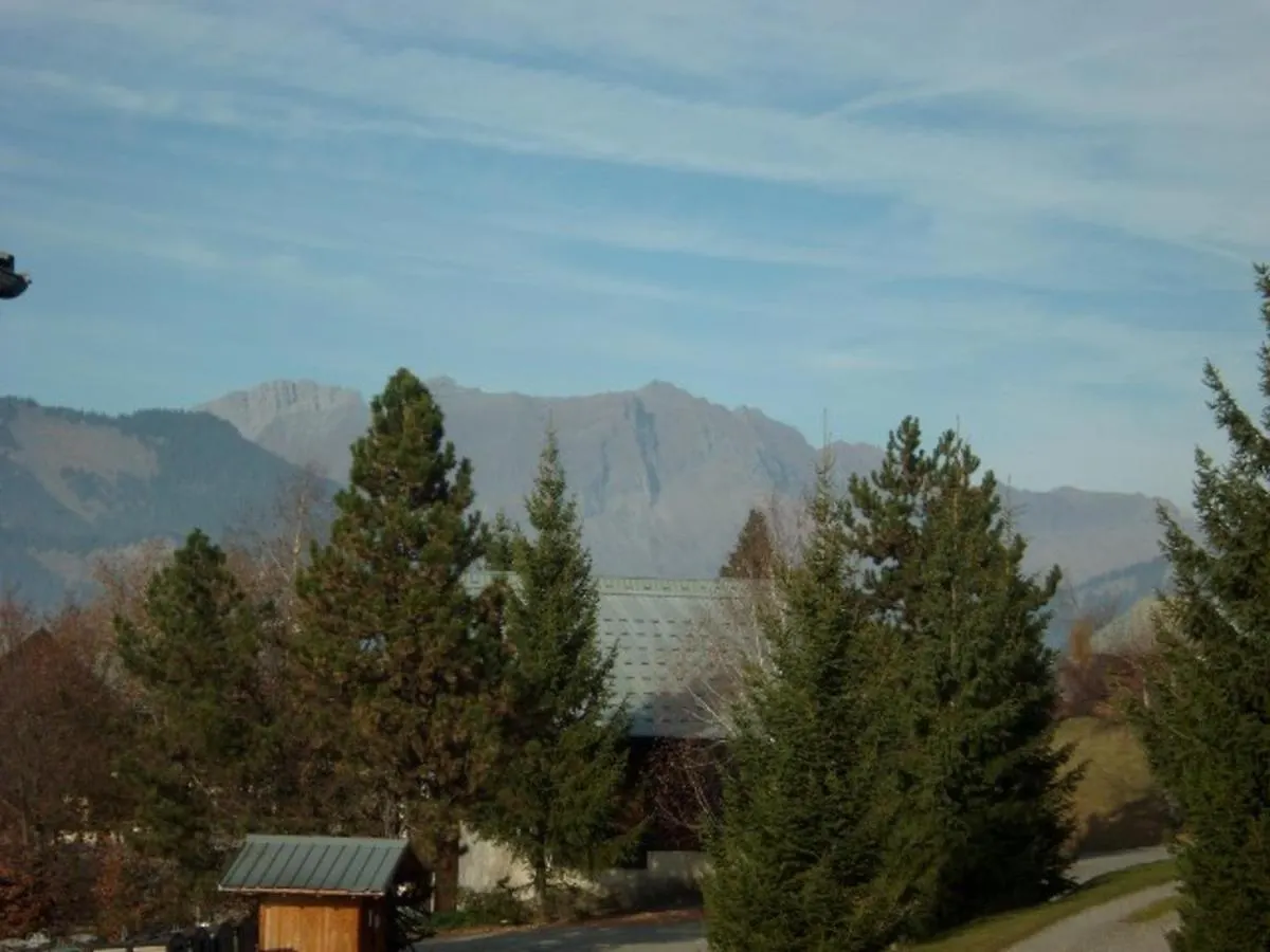 Studio-Mezzanine Avec Rangements Pres Des Pistes, Balcon, Parking Et Equipements Complets A Crest-Voland - Fr-1-733-113 France